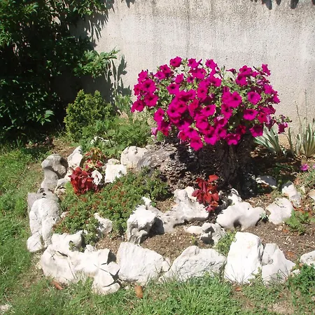 Family Friendly With A Swimming Pool Lindar, Istria - Sredisnja Istra - 7197 Lejlighed *